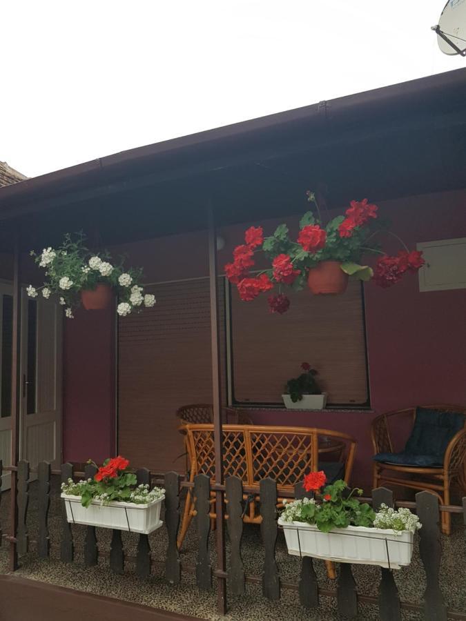 Apartmani, Sobe Ziza Bezdán Kültér fotó